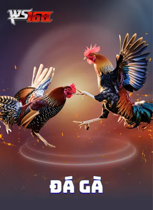 Free Spin Fiesta